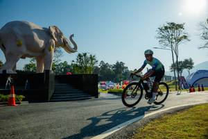 BIB: 
                            <button type="button" onclick="openModal(26182982)" class="btn btn-primary btn-sm float-right btn-popup" data-toggle="modal" data-target=".modal-high-quality">
                        <i class="fas fa-shopping-cart"></i> Add to Cart
                    </button>
                                            <button type="button" onclick="isThisMe(26182982, true)" class="btn btn-success btn-sm float-right btn-popup btn-isme hidden" data-toggle="tooltip" data-placement="bottom" title="นี่คือรูปของคุณใช่ไหม คลิกที่นี่เพื่อเอาเข้าอัลบั้ม">
                        <i class="fas fa-plus"></i> Add to album
                    </button>
                    <button type="button" onclick="isThisMe(26182982, false)" class="btn btn-warning btn-sm float-right btn-popup btn-isnotme hidden">
                        <i class="fas fa-ban"></i> Remove from album
                    </button>